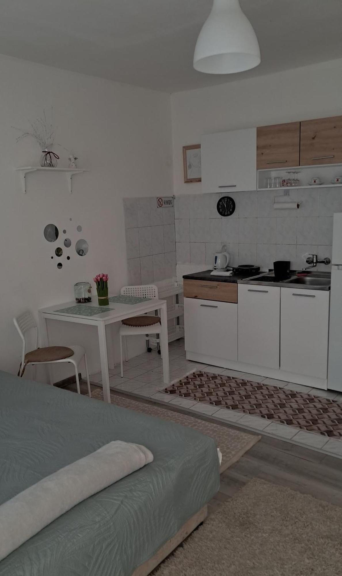 Nany 2 Apartment โนวีซาด ภายนอก รูปภาพ